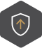 Credit Quality Analysis