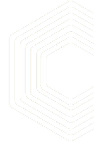 polygon illustration